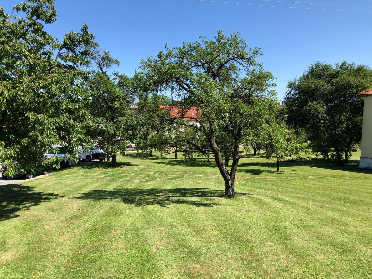 Mariasdorf Gasthof Koller מראה חיצוני תמונה